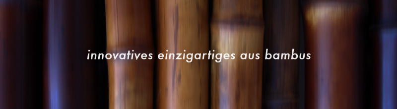 innovatives einzigartiges aus bambus